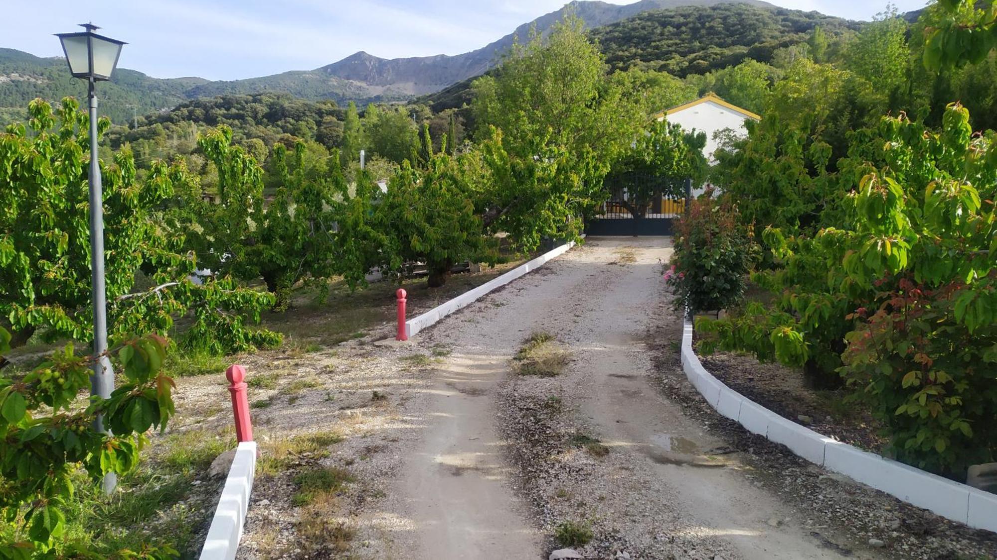 Los Cabales Torres  Esterno foto